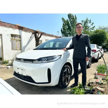 Byd D1 EV Electric Cheap High Speed Long Range New Energy Battery EV Electrical Electric Car Online Car-Hailing